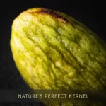 Abstract-Texture-Macro-Detail