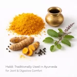 Ayurvedic-Heritage-Traditional-Wisdom