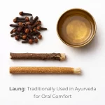 Ayurvedic-Oral-Care-Dant-Dhavan-Tradition