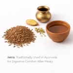 Digestive-Comfort-Ayurvedic-Tradition