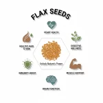 Flax-Seeds-Health-Benefit