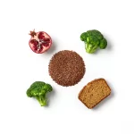 Lignans-—-Natural-Antioxidants