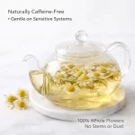 Steeping-in-Glass-Teapot-Gentle-Infusion